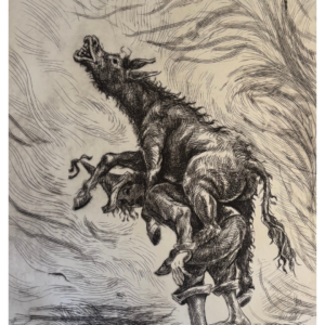 La culpa no la tiene el burro / punta seca / 21 x 27 / 2020 / $8800