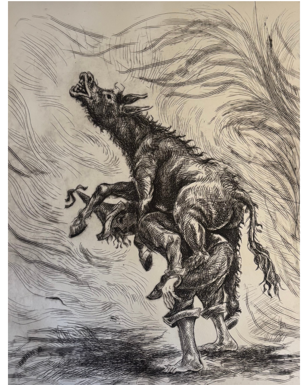 La culpa no la tiene el burro / punta seca / 21 x 27 / 2020 / $8800